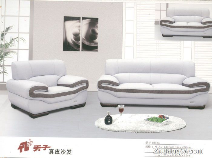 天子沙發(fā)家具圖片(九) 匠心工藝，盡顯客廳典雅風(fēng)范